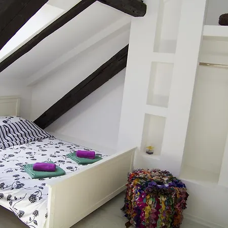 Miaap * 사라예보